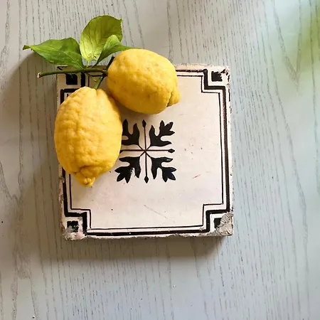 Pool Family Big Appartament In Center Apartamento